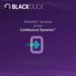 Continuous Dynamic (DAST)